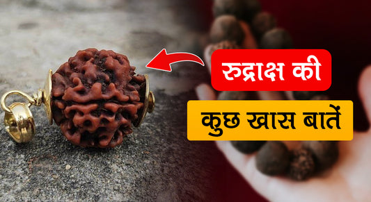 रुद्राक्ष पहनने के 5 बड़े फायदे || 5 Benefits of Rudraksh