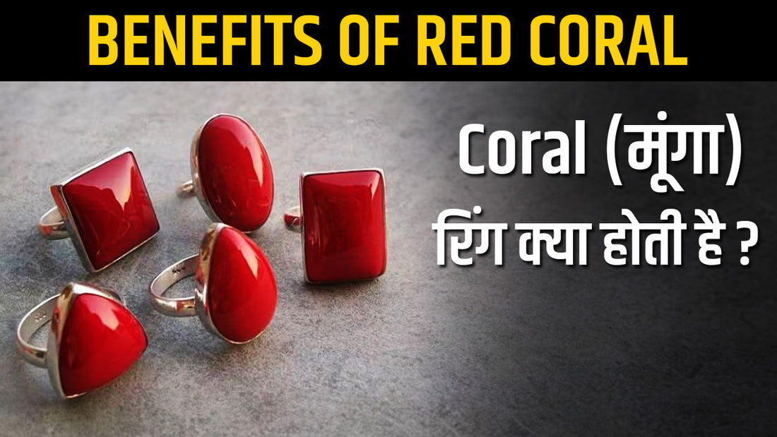 Coral (मूंगा क्या होता है) Astrological Benefits of Wearing Red Coral !