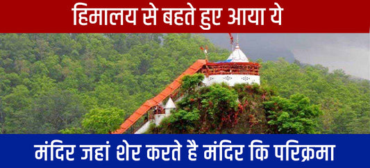 कॉर्बेट के शेर करते है गिरिजा देवी की रक्षा - History  of  Garjiya  Devi  Temple  Ramnagar